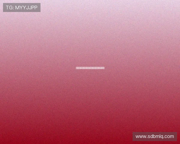 公路上的深情见证新疆壮美风光与中巴友谊