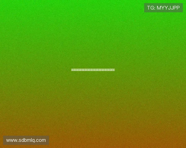 以民生为中心推动中国式现代化高质量发展共绘幸福美好新篇章